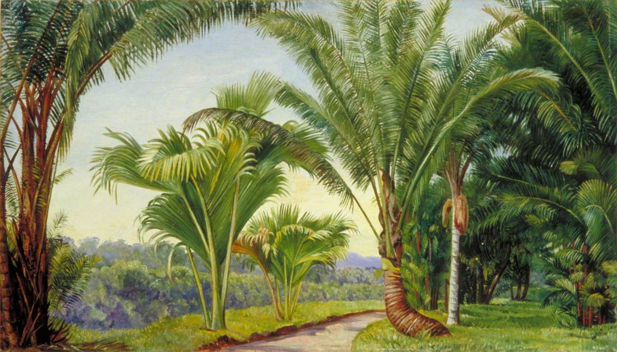 Marianne North, Palms in the Botanic Garden, Java