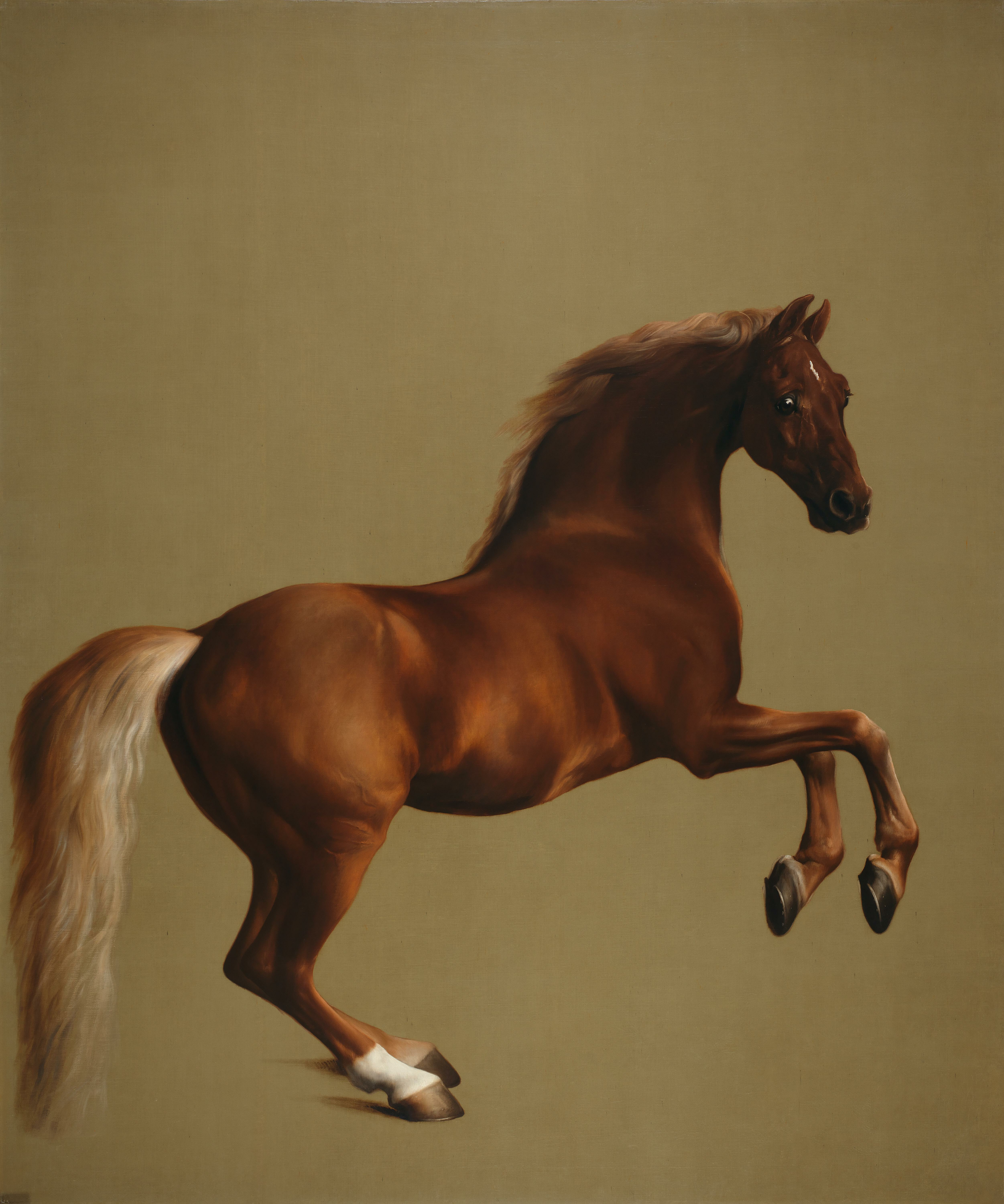 George Stubbs, Whistlejacket